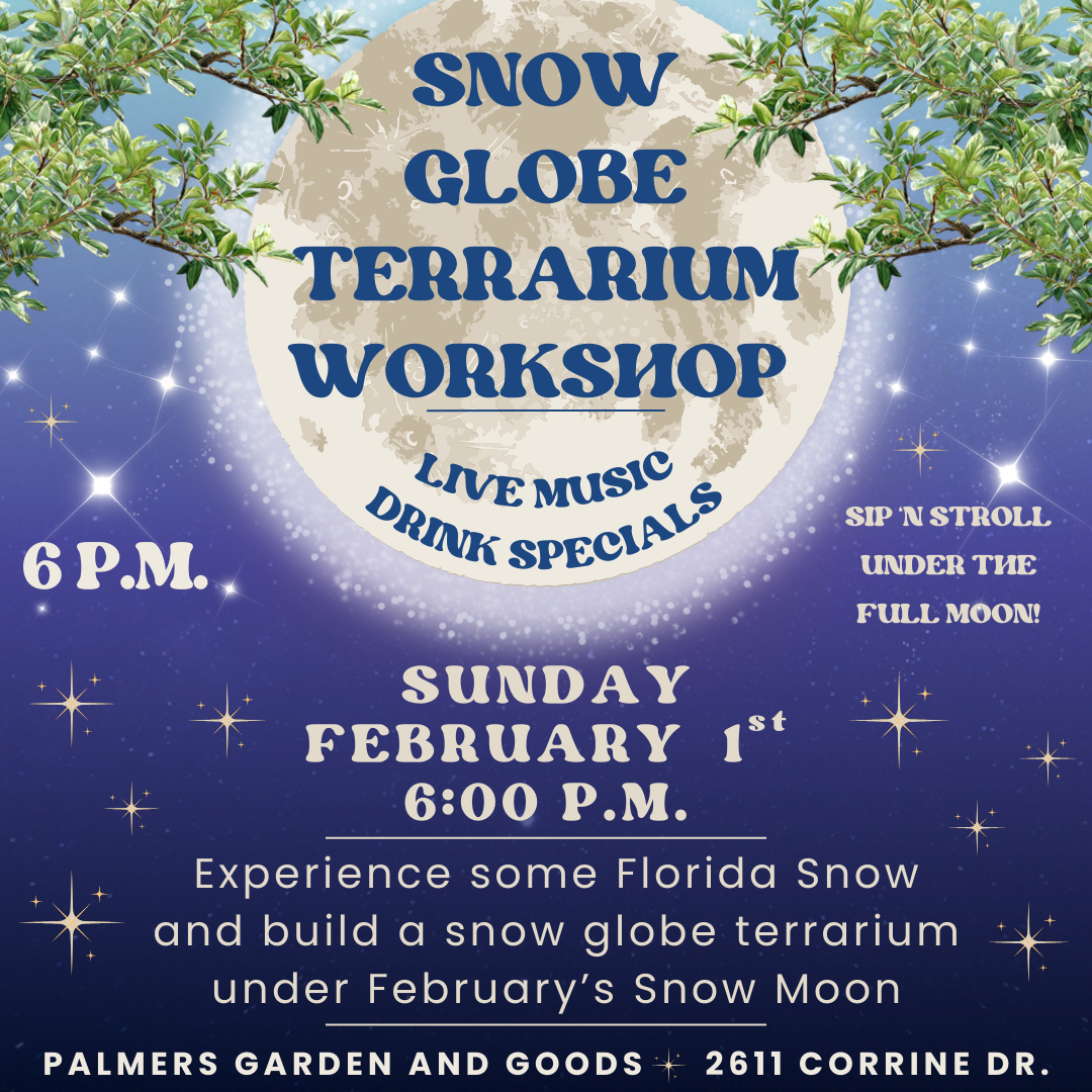 Snow Globe Terrarium Workshop
